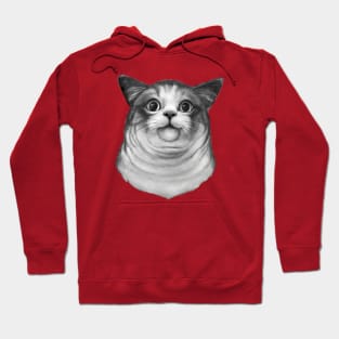 Awkward cat Hoodie